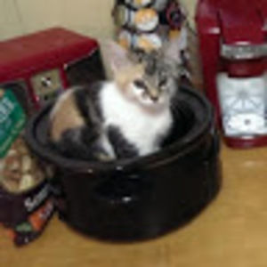 Meet your Posher, Margaret